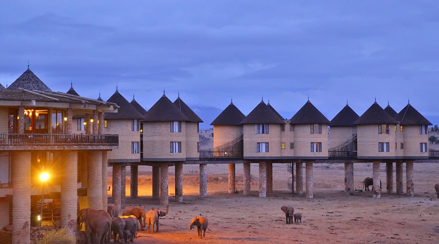 2 Days / 1 Night Road Safari Itinerary – From Nairobi to Salt Lick Lodge