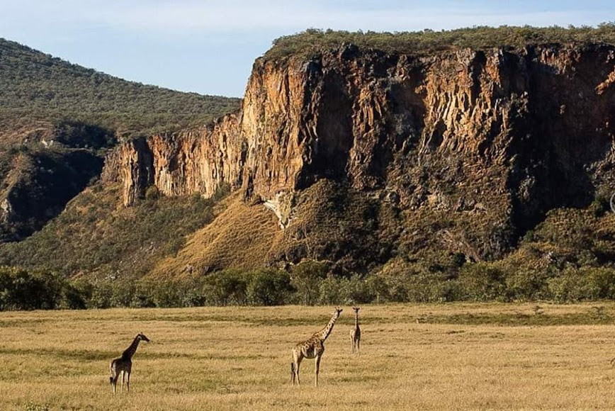 Naivasha Day Trip Safari from Nairobi