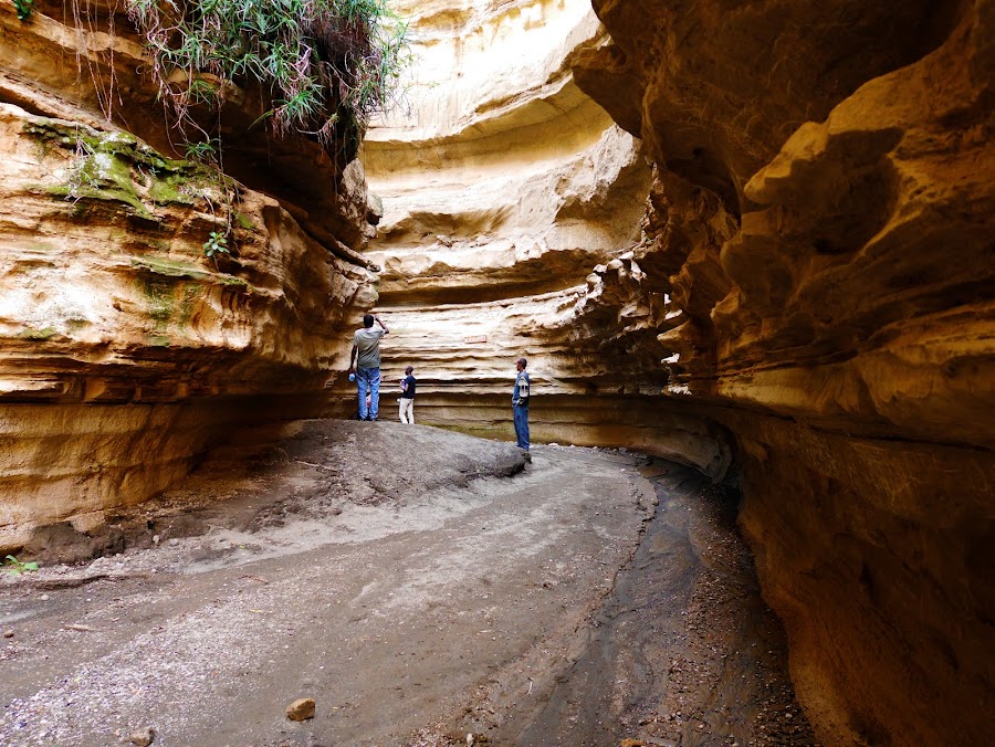 Naivasha Day Trip Safari from Nairobi