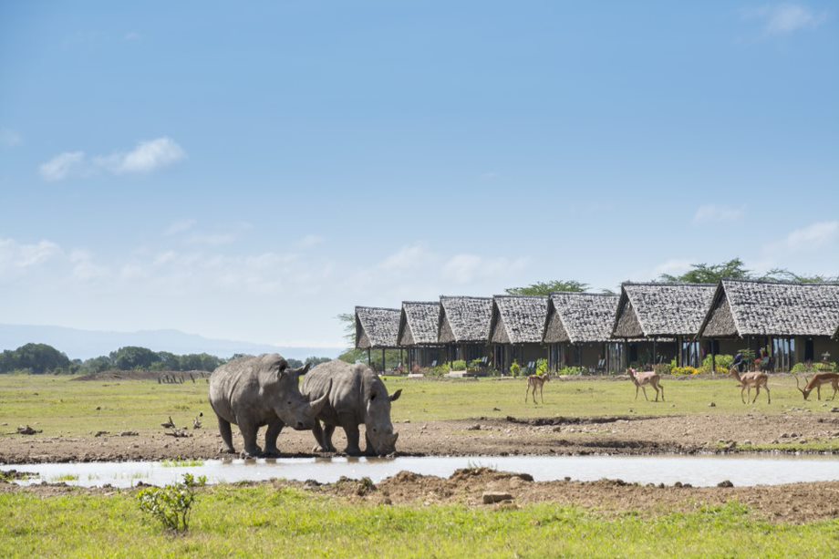 Ol Pejeta Sweetwaters Conservancy Day Trip Safari from Nairobi