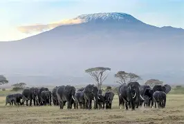 2 Days 1 Night  Amboseli National Park