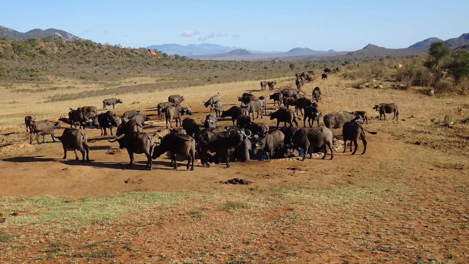 3 Days 2 Nights Amboseli & Tsavo West National Park Safari