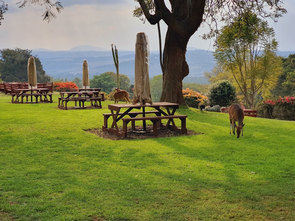 3 Days 2 Nights Ark and Aberdare Country Club Safari Holiday