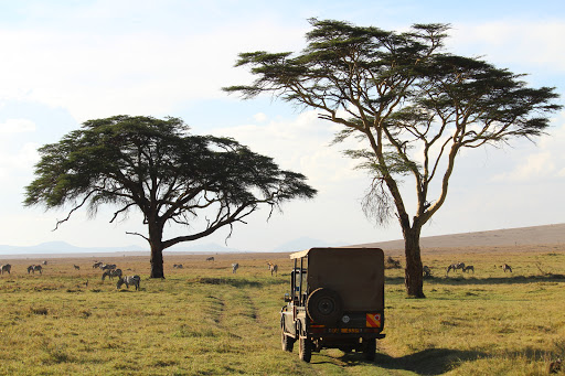 3 Days 2 Nights Lewa Downs Conservancy Road Safari