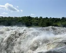 3 Days 2 Nights Uganda Safari; Ziwa Rhino Sanctuary, Murchisson Falls, Kampala