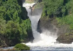 3 Days 2 Nights Uganda Safari; Ziwa Rhino Sanctuary, Murchisson Falls, Kampala