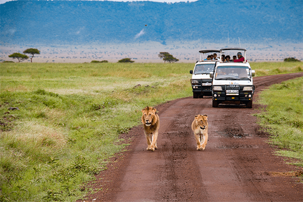 30 Days Across Kenya Wildlife and Beach Safari Zanzibar