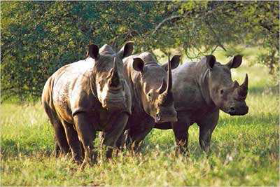 30 Days Across Kenya Wildlife and Beach Safari Zanzibar