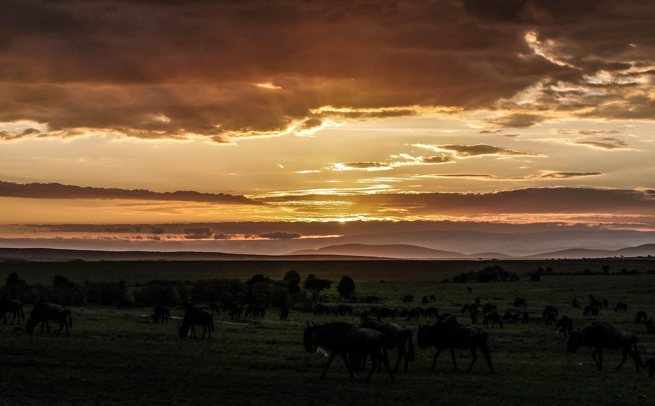 5 Days 4 Nights Aberdare – Lake Nakuru & Masai Mara Safari