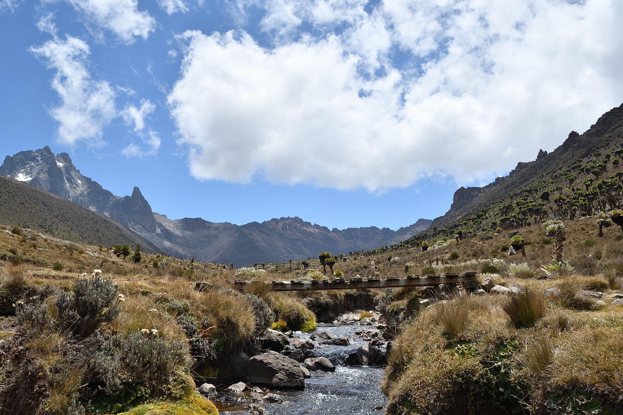 5 Days 4 Nights Mt Kenya Climbing Naromoru - Chogoria Route