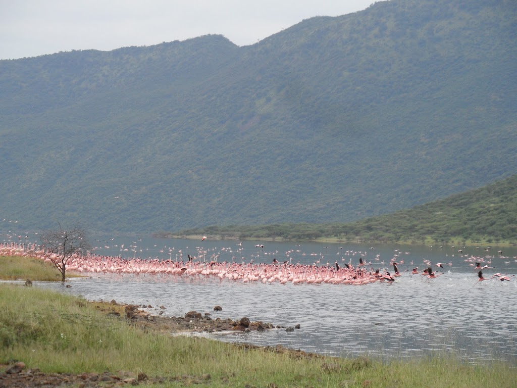 5 Days 4 Nights Samburu – Baringo – Bogoria – Nakuru Safari