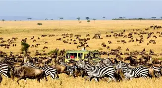 6 Days 5 Nights Highlights of Kenya and Tanzania; Maasai Mara, Serengeti, Ngorongoro