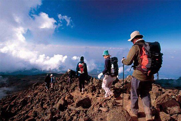 6 Days 5 Nights - Lemosho Route Kilimanjaro Climb