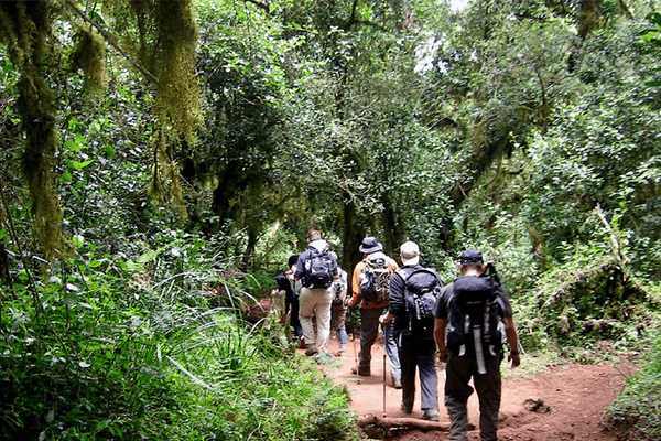6 Days 5 Nights - Marangu Route Kilimanjaro Climb
