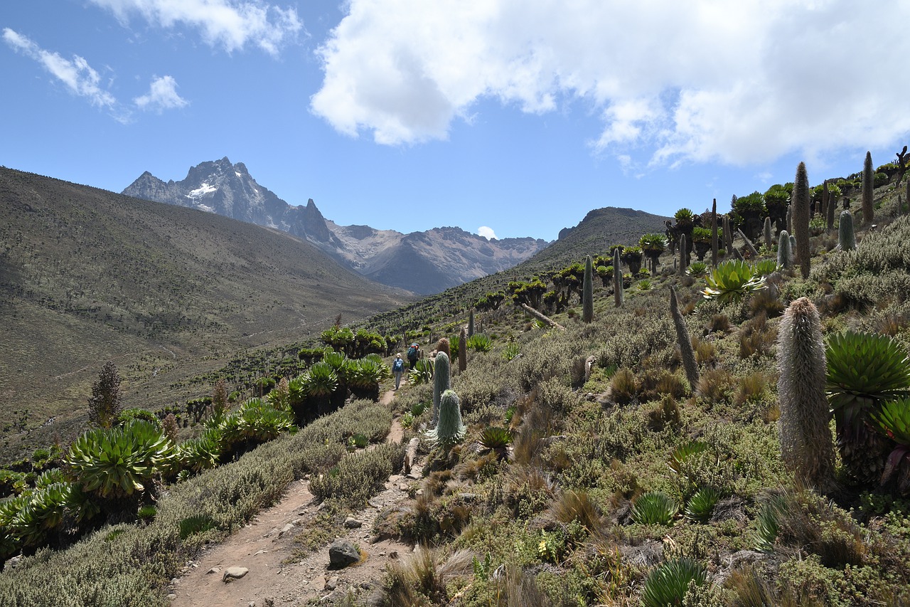 6 Days 5 Nights Mt Kenya Climbing Naromoru Chogoria Route