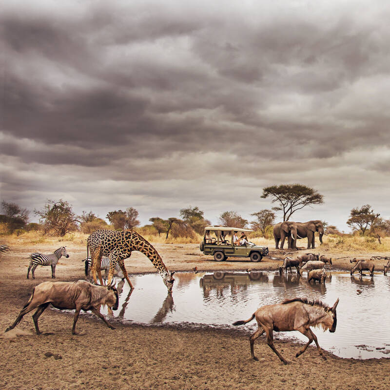 6 Days 5 Nights Ngorongoro, Serengeti & Tarangire Tanzania Safari