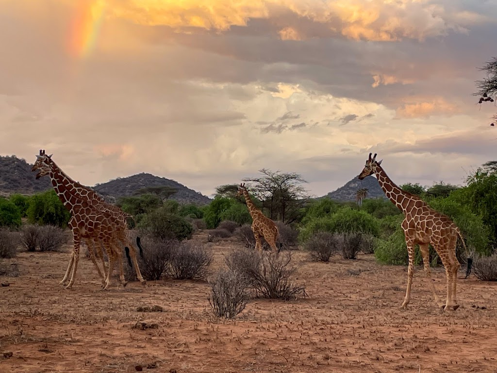 7 Days 6 Nights Mt Kenya, Samburu, Nakuru – Masai Mara – Nairobi