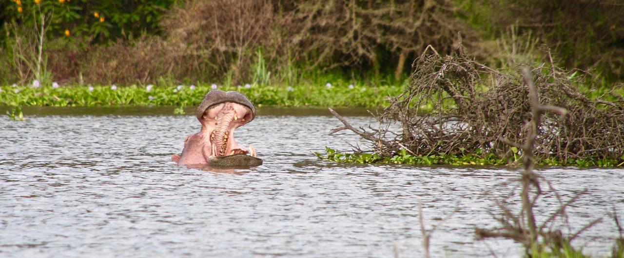 8 Days 7 Nights Samburu-Aberdares-Nakuru-Naivasha-Maasai Mara