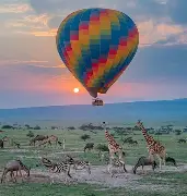 8 Days 7 Nights Wonders of Kenya & Tanzania; Maasai Mara, Serengeti, Ngorongoro
